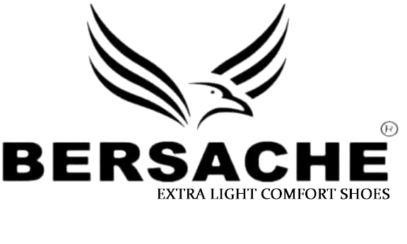 bersache logo removebg preview