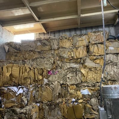 whatsapp image 2026 02 11 at 12.42.17 pm (1)