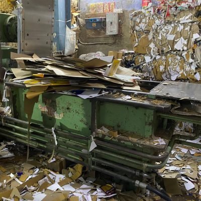 whatsapp image 2026 02 11 at 12.42.19 pm